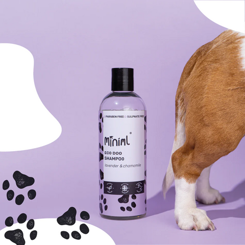 Dog Shampoo - Lavender & Chamomile 500ml (PRE-FILLED PET BOTTLE)