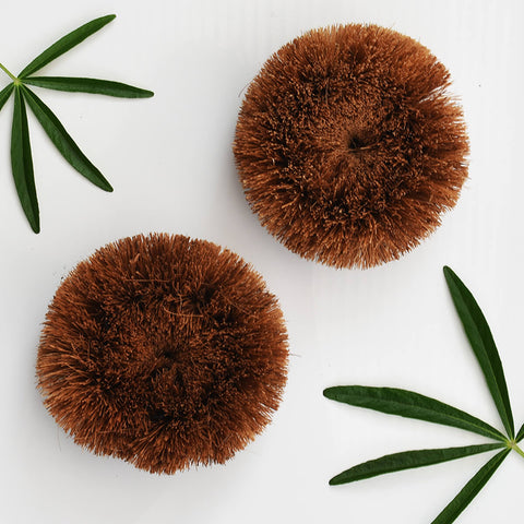 EcoCoconut Scourers - Pack of 2