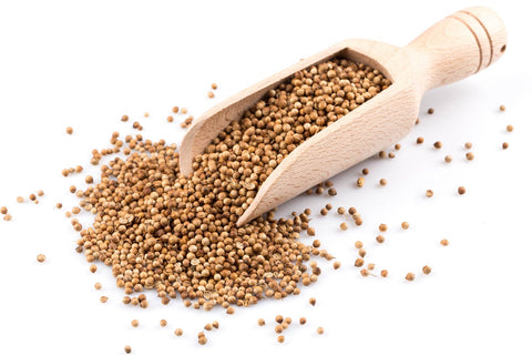Organic Coriander Seeds