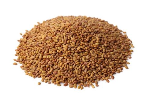 Organic Alfalfa Seeds