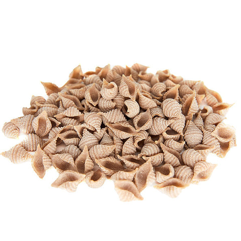 Organic Wholegrain Spelt Conchiglie