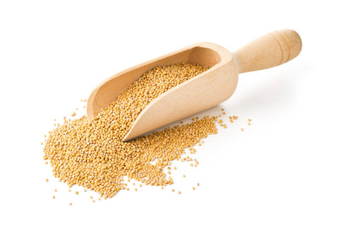 Yellow Mustard Seeds