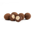 Organic Salty Vegan Chocolate Hazelnuts - Raw Chocolate Company