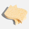 Biodegradable Kitchen Sponge - 2 Pack